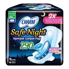 CHARM SAFE NIGHT WING 29CM